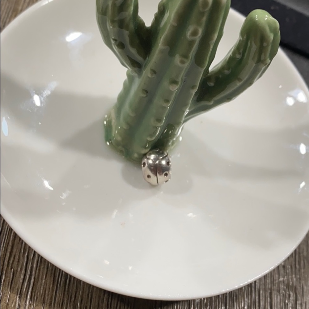 Pandora Charm